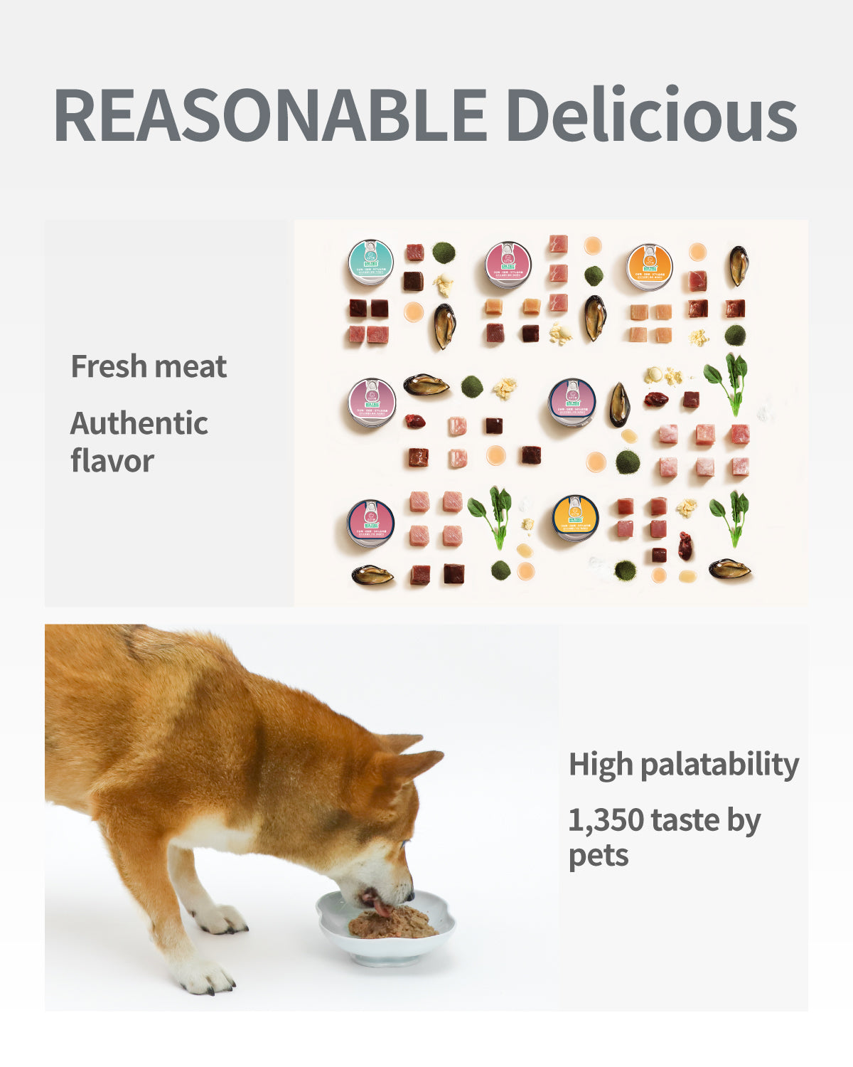 Nourriture humide pour chiens PET-EVER PureFeast, 94 % d'origine animale, sans céréales ni BPA, boîtes de 92 g (paquet de 6)