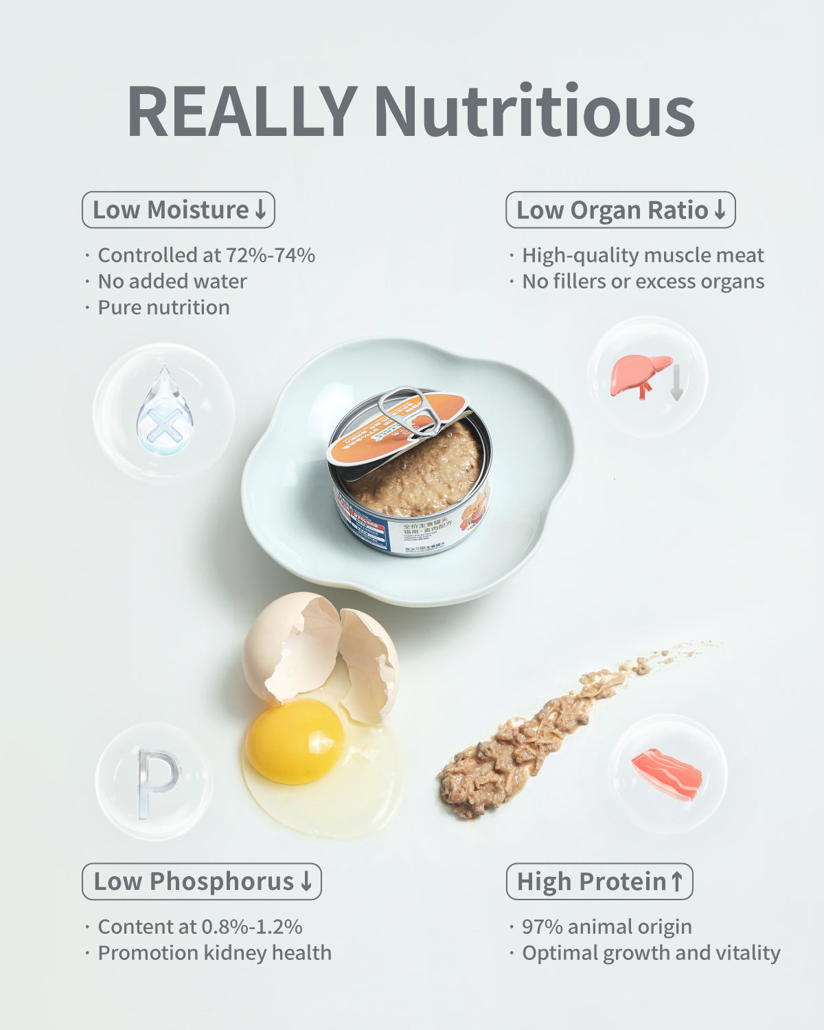 Nourriture humide pour chiens PET-EVER PureFeast, 94 % d'origine animale, sans céréales ni BPA, boîtes de 92 g (paquet de 6)