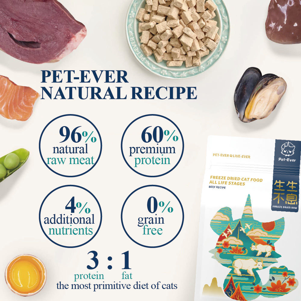 PET EVER Freeze Dried Raw Cat Food Beef Recipe