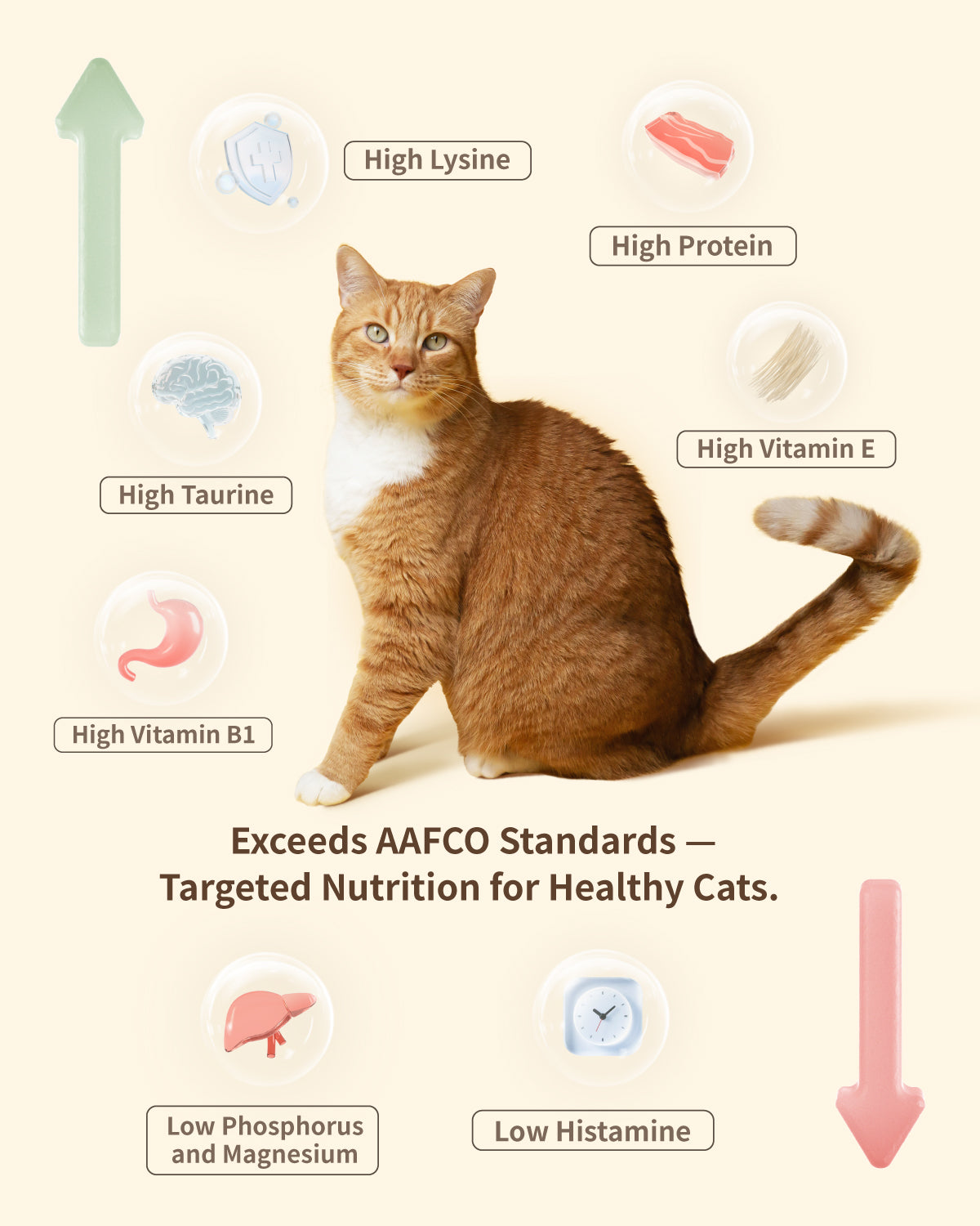 PET-EVER PureFeast Freeze-Dried Cat Food, 97% Animal Origin Soft Dry Raw Food for Cats, High Protein Healthy Freeze Dried Cat Treat & Topper (Beef Recipe - 2.1 Ounce)