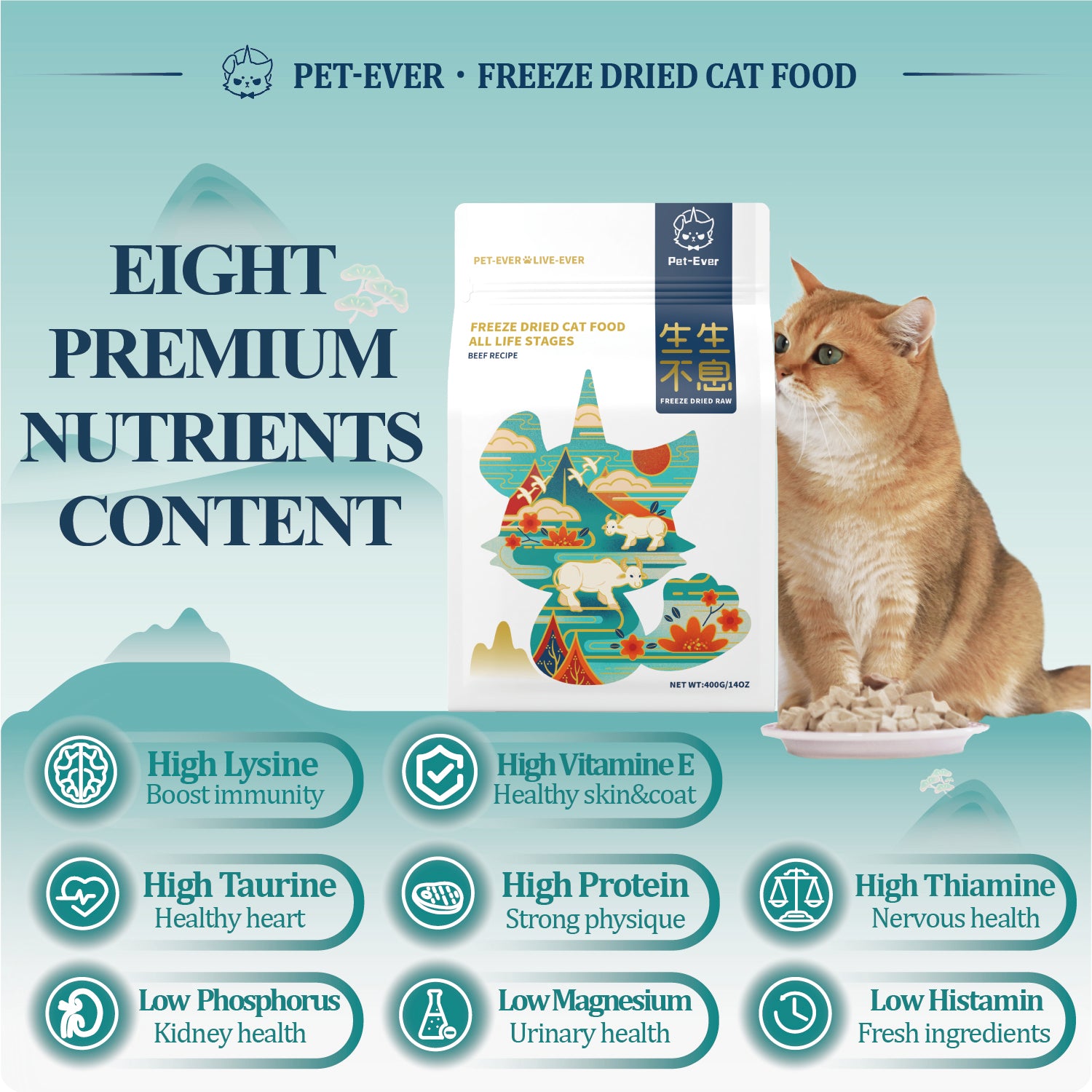 PET EVER Freeze Dried Raw Cat Food Beef Recipe