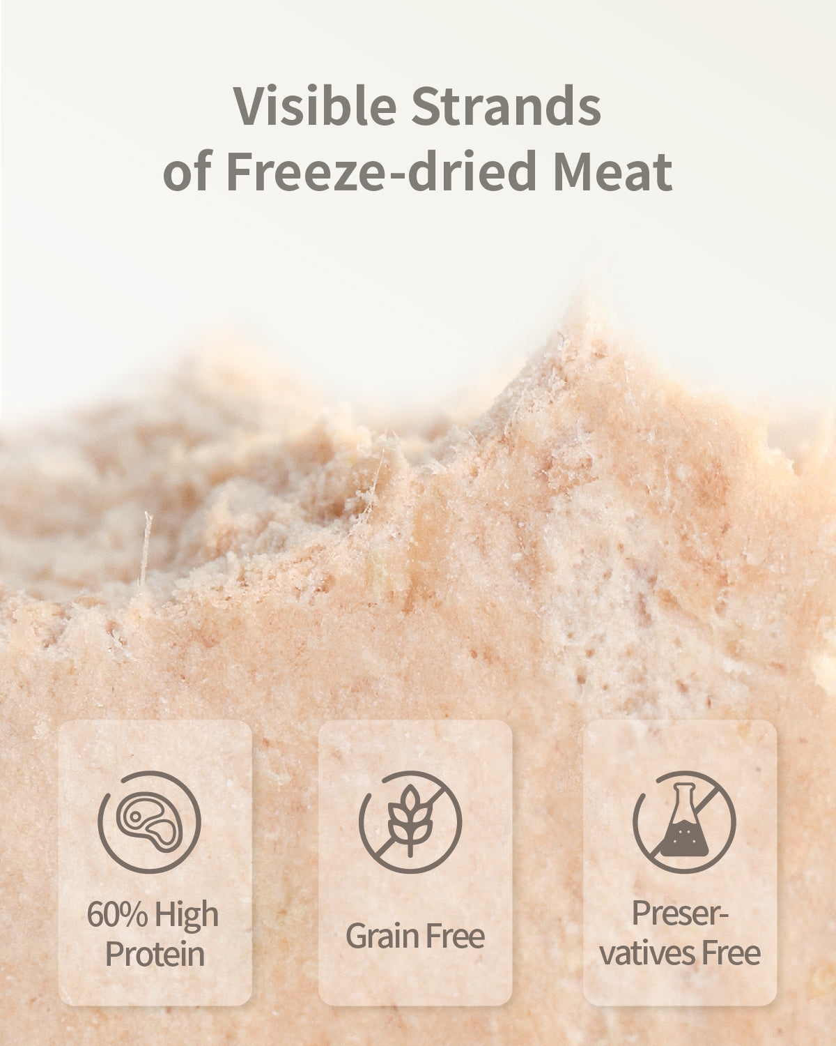 PET-EVER PureFeast Freeze-Dried Cat Food, 97% Animal Origin Soft Dry Raw Food for Cats, High Protein Healthy Freeze Dried Cat Treat & Topper (Beef Recipe - 2.1 Ounce)