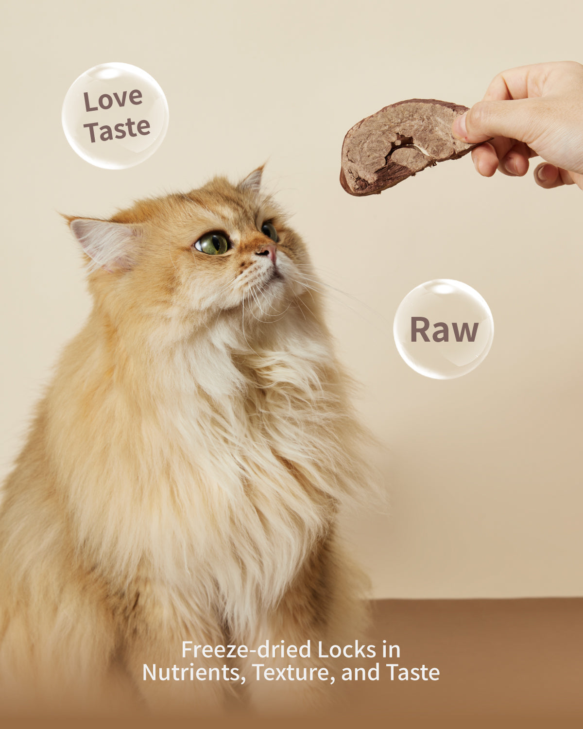PET-EVER Gefriergetrocknete rohe Katzen- und Leckerlis Gefriergetrocknete Schweineherzen 