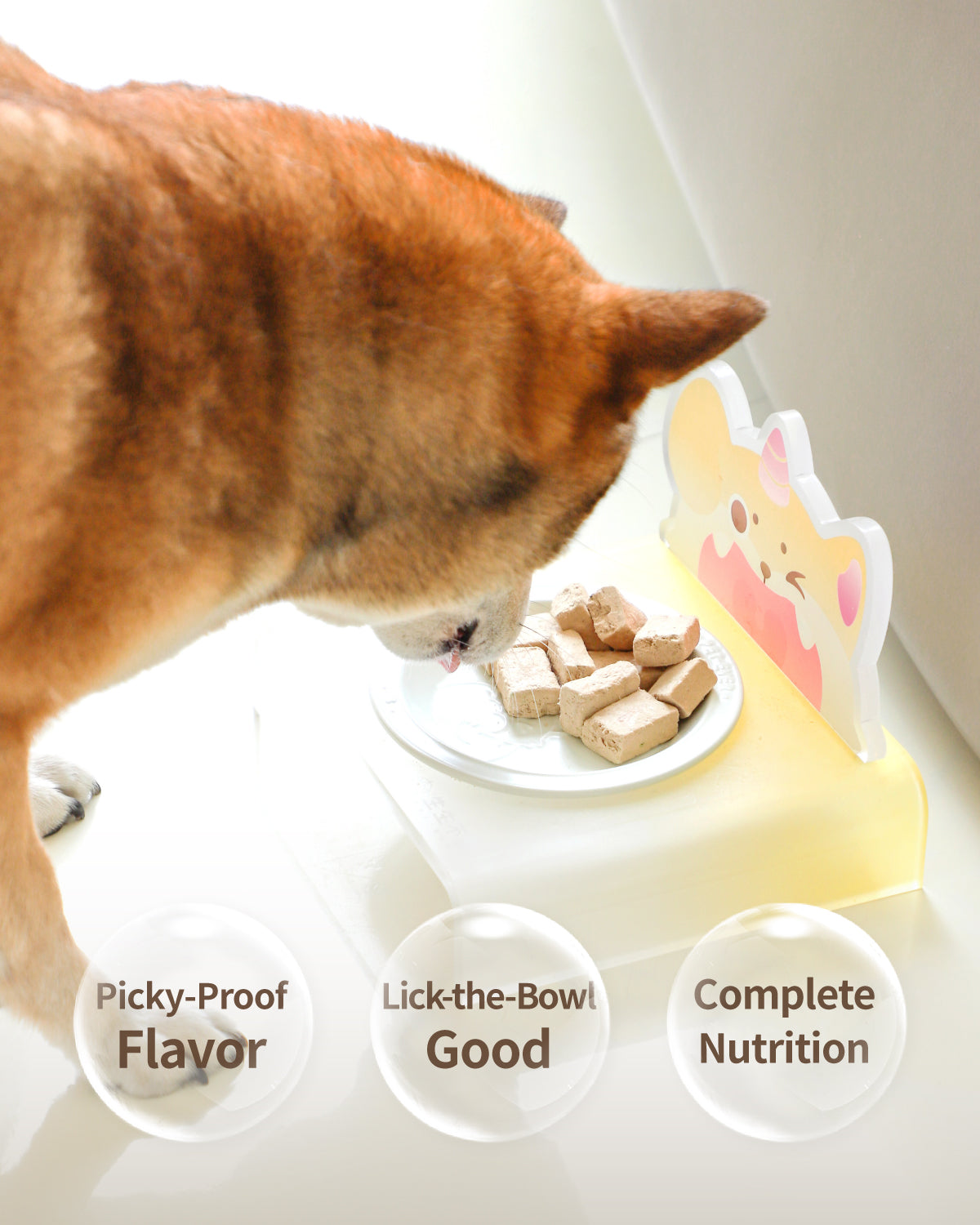 PET-EVER Gefriergetrocknetes rohes Hundefutter mit Schweinefleisch-Rezept 