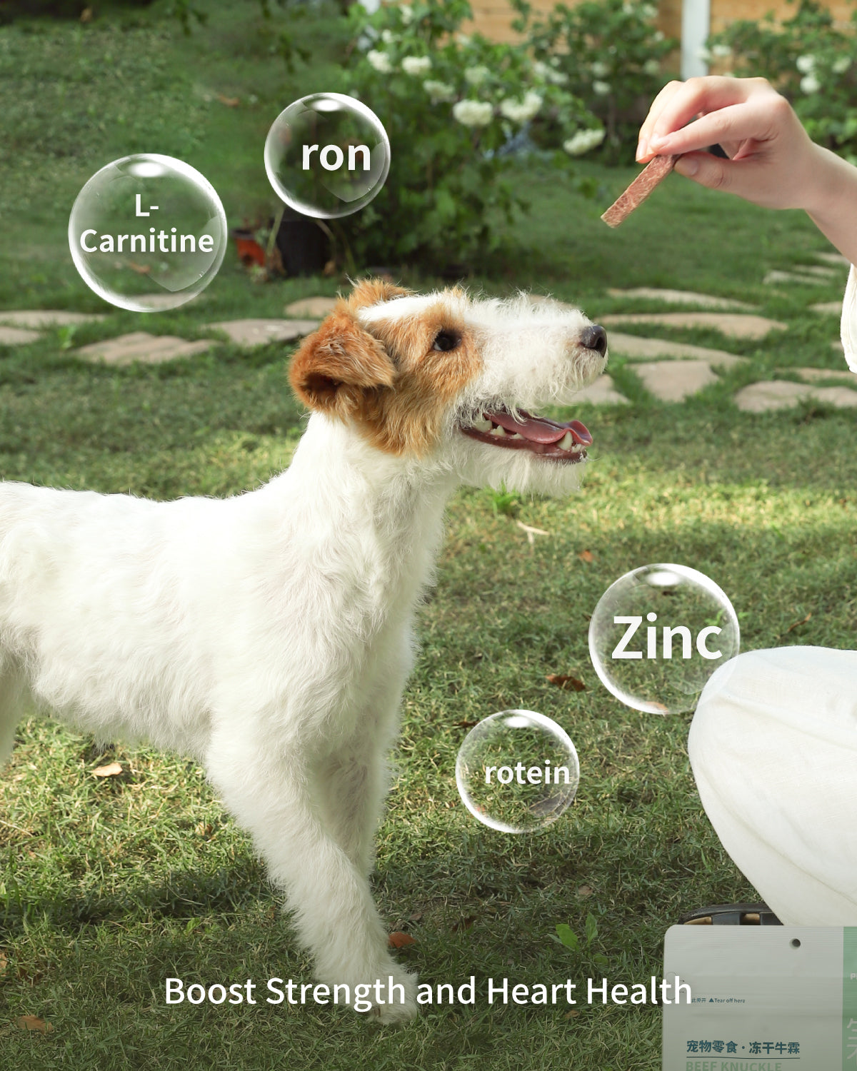 PET-EVER Gefriergetrocknete rohe Leckerlis für Katzen und Hunde, eine einzige Zutat, hypoallergen, artgerecht aufgezogen und fabrikgefertigt, gefriergetrocknete Hühnerhälse und Schweineherzen 