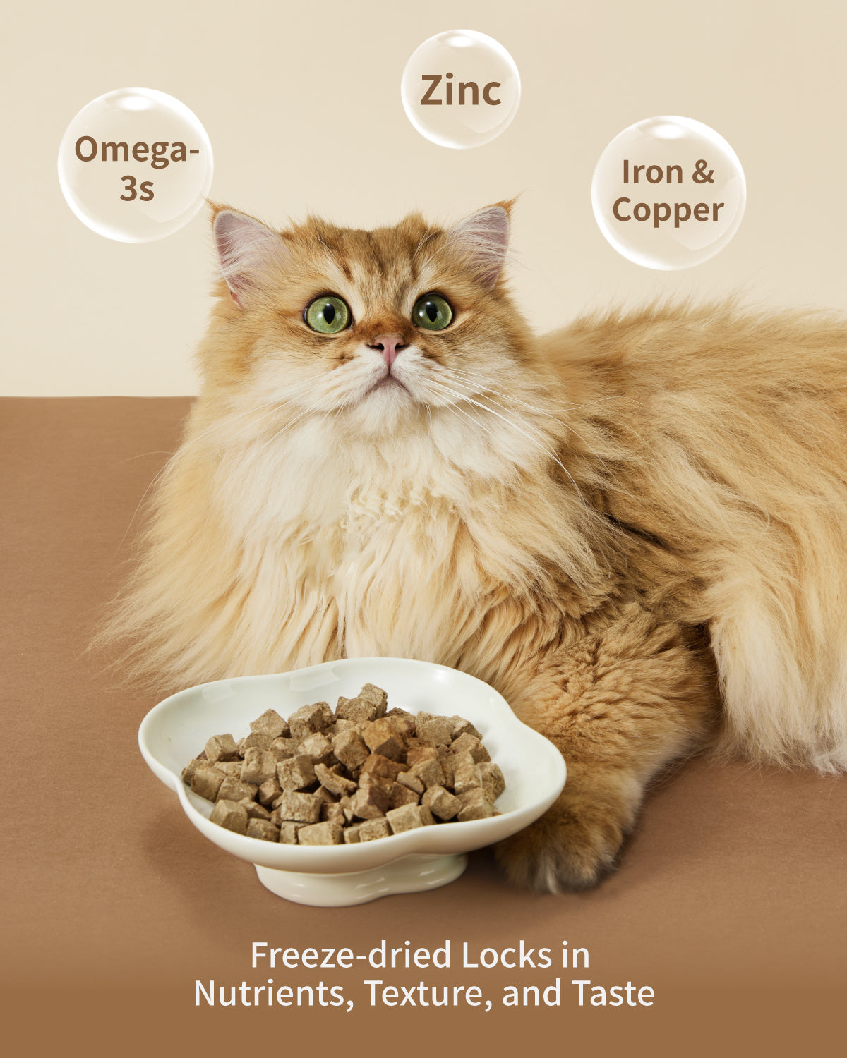 PET-EVER Freeze Dried Raw Cat & Dog Treats Freeze Dried Lamb Liver,Whole Cut Raw Treats for Heart, Coat & Immune Health