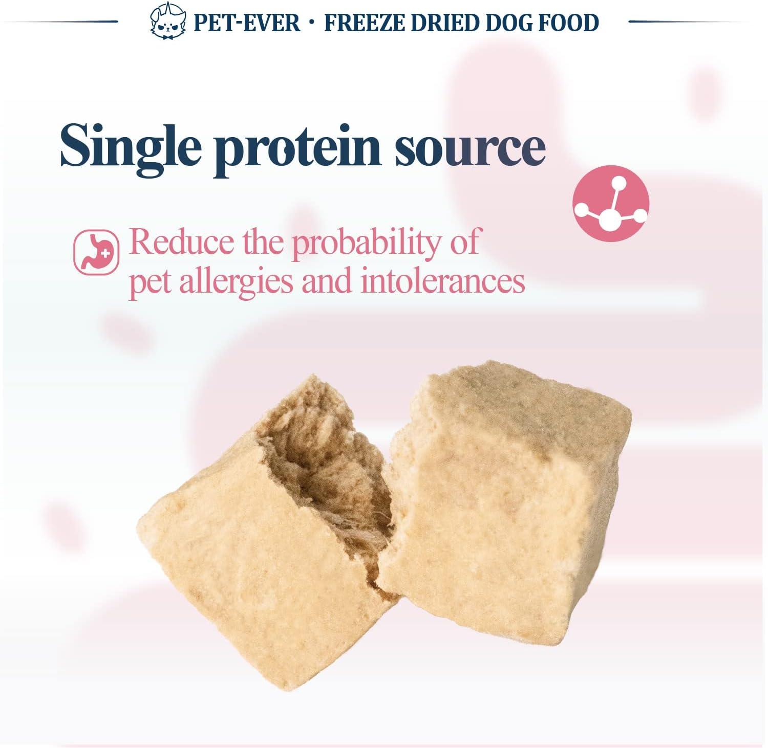 PET-EVER Freeze Dried Raw Dog Food Pork Recipe