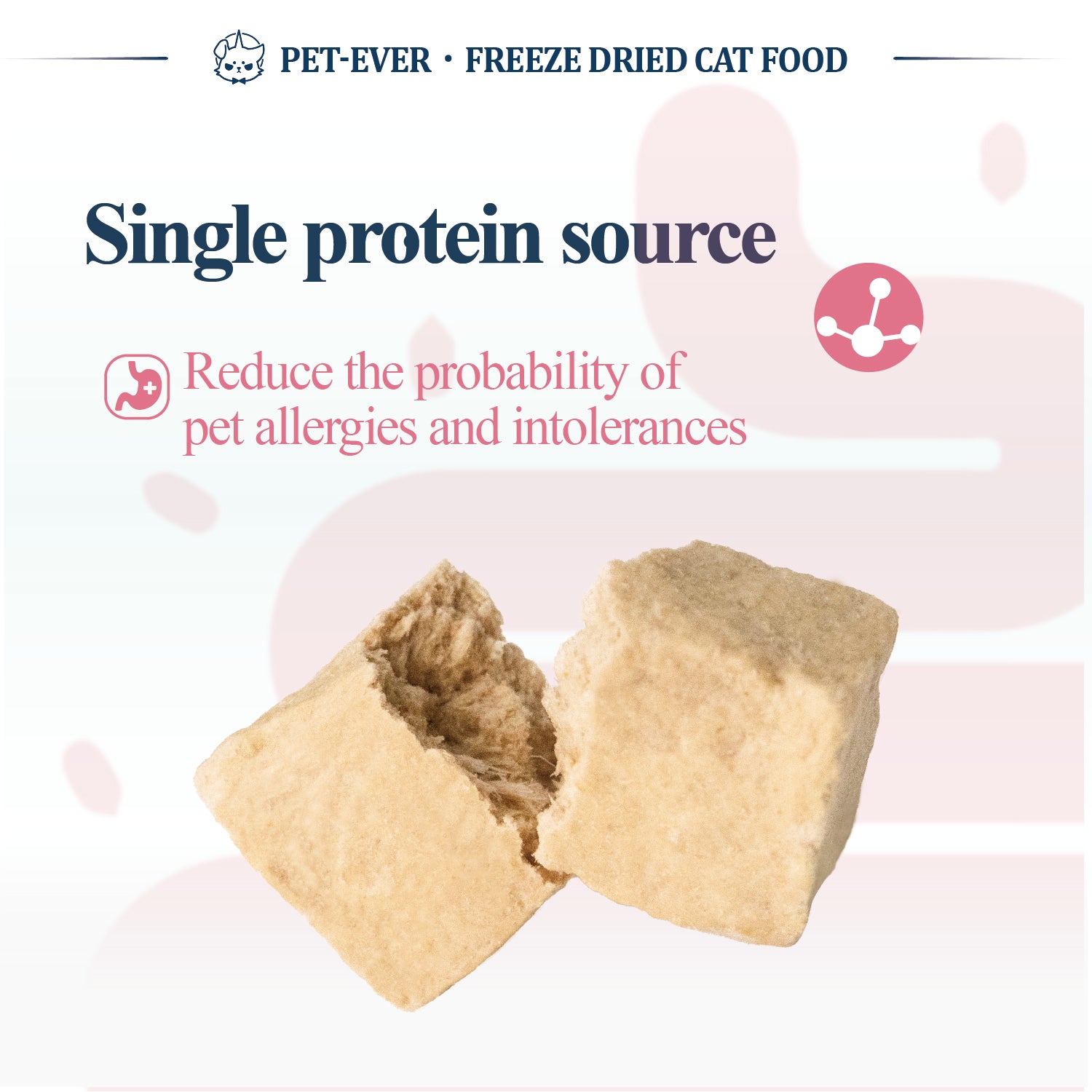 PET EVER Freeze Dried Raw Cat Food Pork Recipe Pet Ever