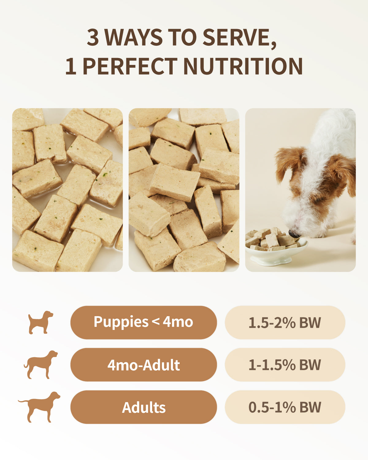 PET-EVER Gefriergetrocknetes rohes Hundefutter mit Schweinefleisch-Rezept 
